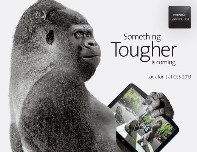 gorilla3