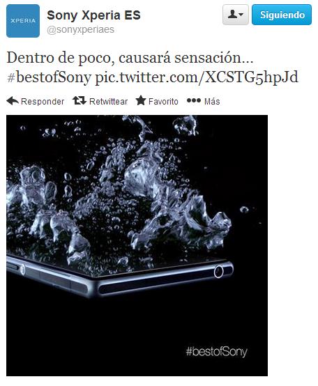 Honami al agua