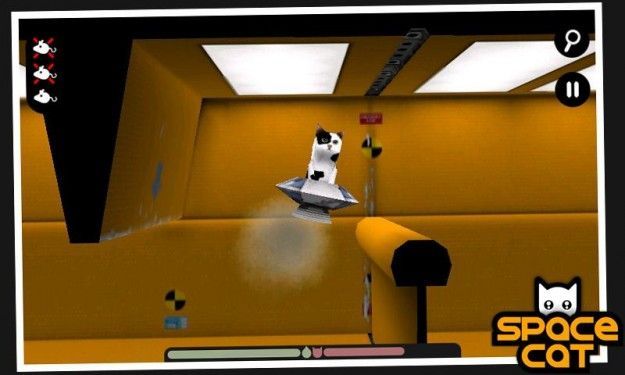 spacecat1