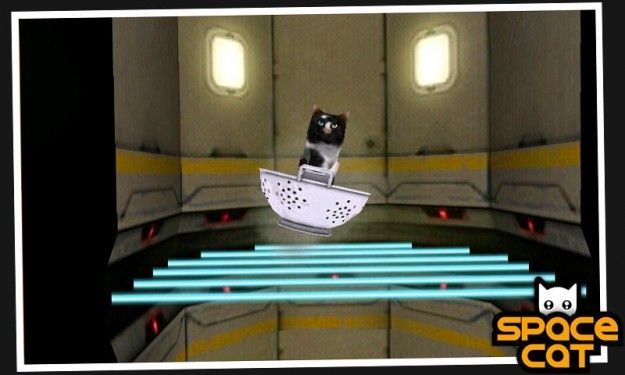 spacecat2